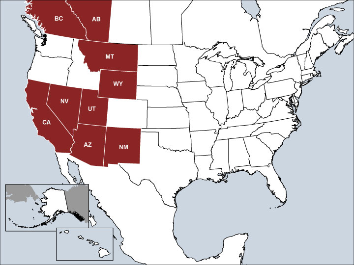 USA Map with Highlighted Sales Regions: AZ, CA, MT, NM, NV, UT, WY, and AB & BC Canada